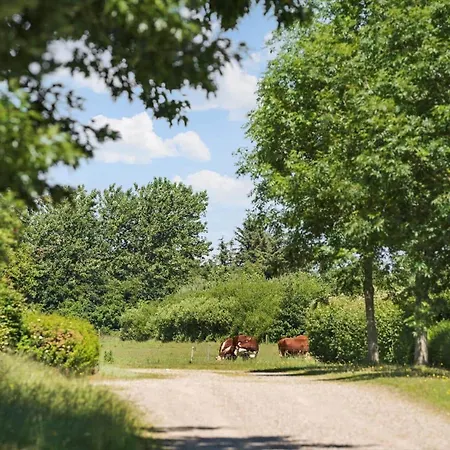 80057-ulfborg-rolighedsvej-3 Husby